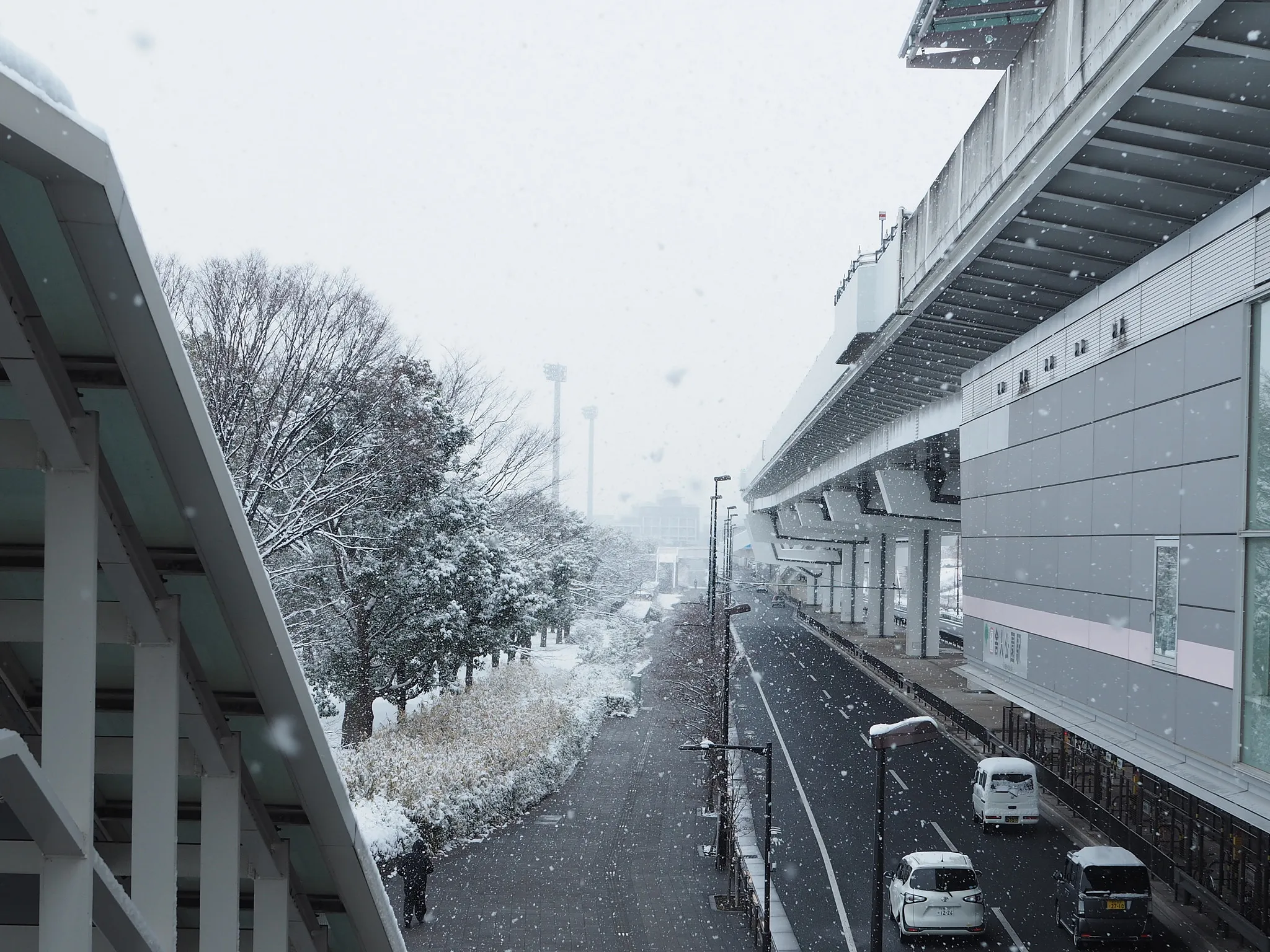 Toneri-Park Station on the Nippori-Toneri Liner